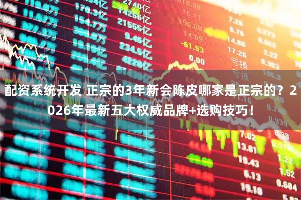 配资系统开发 正宗的3年新会陈皮哪家是正宗的？2026年最新五大权威品牌+选购技巧！