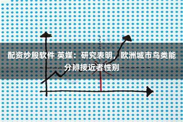配资炒股软件 英媒：研究表明，欧洲城市鸟类能分辨接近者性别