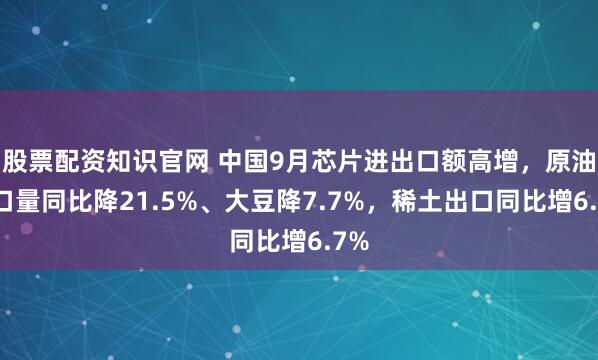股票配资知识官网 中国9月芯片进出口额高增，原油进口量同比降21.5%、大豆降7.7%，稀土出口同比增6.7%